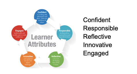 Primary Curriculum