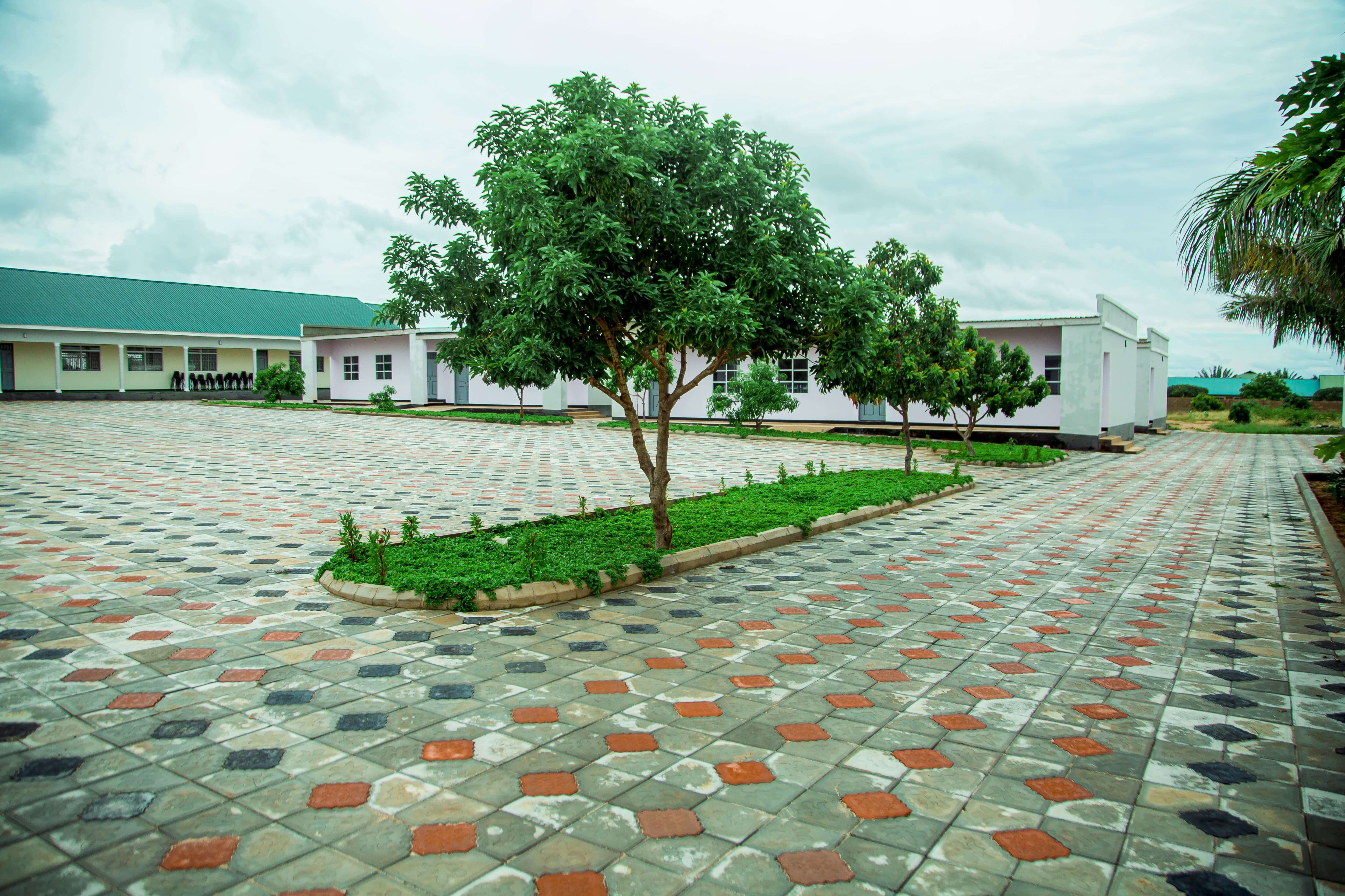 School Development